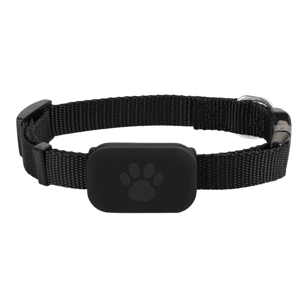 Dachshund Guardian GPS Tracker – Never Lose Sight of Your Best Friend