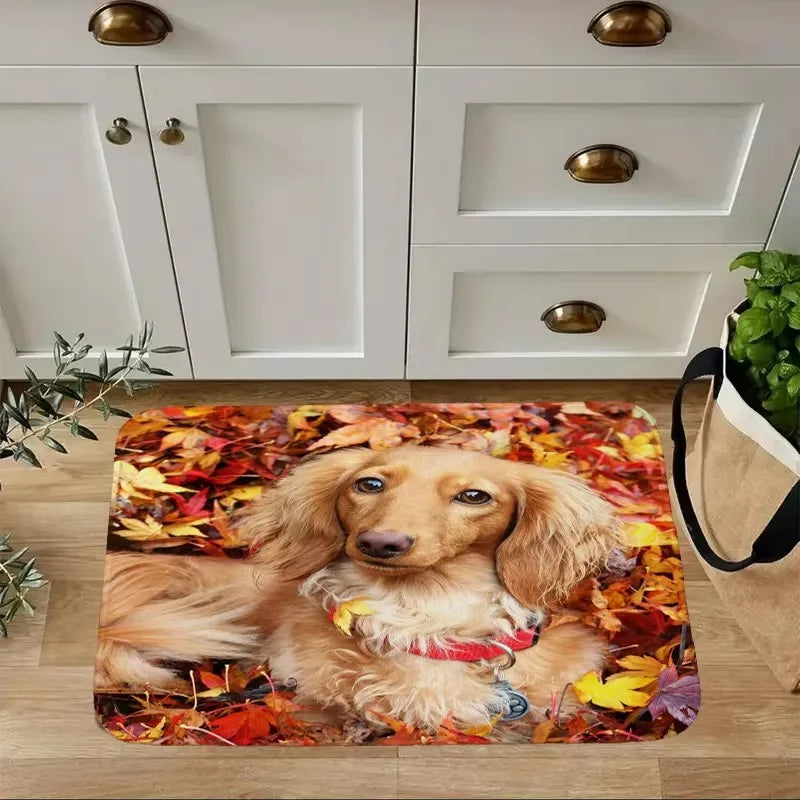 Dachshund Welcome Mat – Non-Slip Indoor Rug for Entryway, Kitchen & Living Room