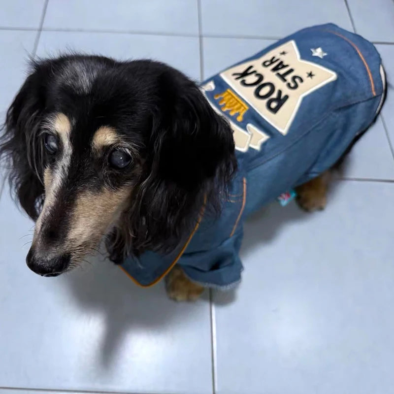 Dachshund Denim Hoodie™ – Premium Jean Jacket for Stylish Sausage Dogs