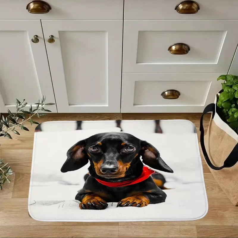 Dachshund Welcome Mat – Non-Slip Indoor Rug for Entryway, Kitchen & Living Room
