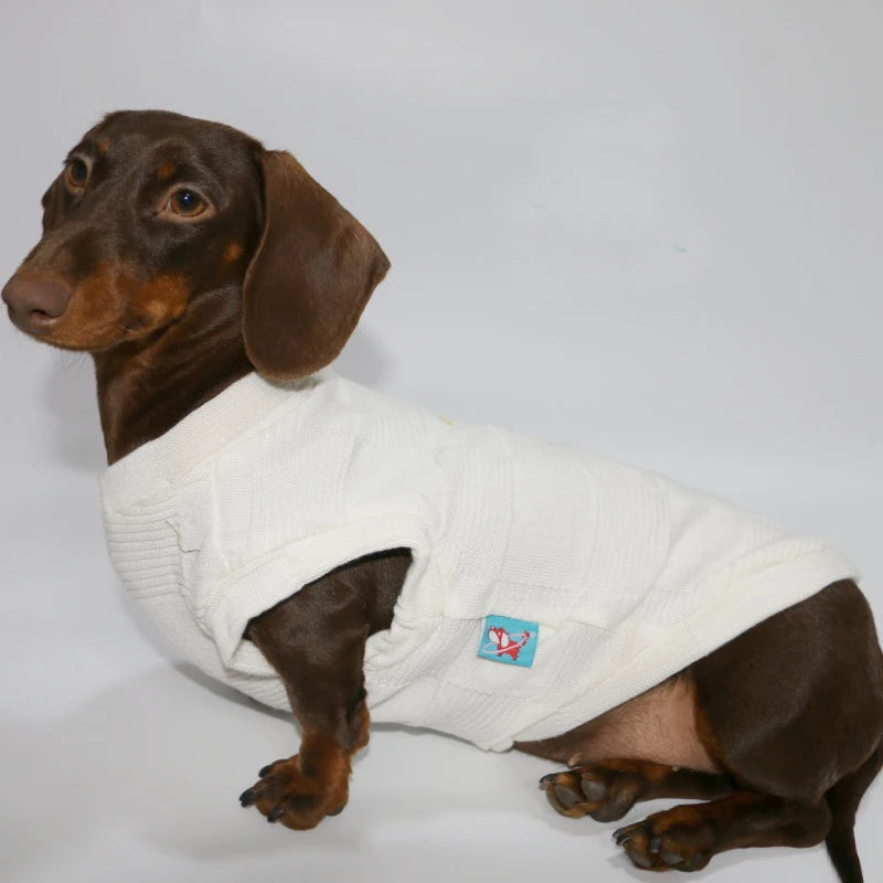 Dachshund Everyday™ Knit Tee – Ultra-Soft Summer Shirt for Sausage Dogs