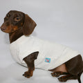 Dachshund Everyday™ Knit Tee – Ultra-Soft Summer Shirt for Sausage Dogs