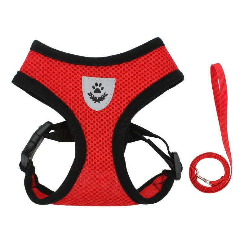 Dachshund AirMesh Harness™ | Lightweight Breathable Comfort for Every Walk