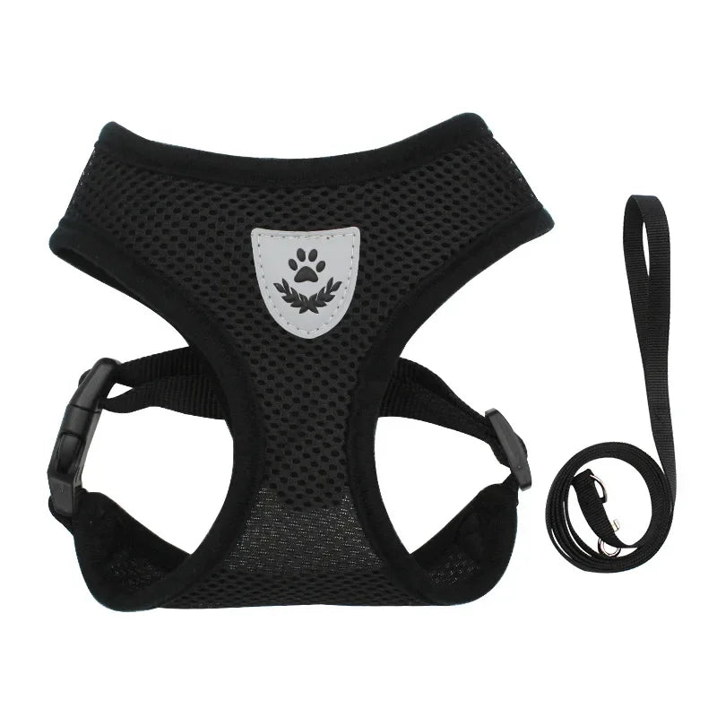 Dachshund AirMesh Harness™ | Lightweight Breathable Comfort for Every Walk