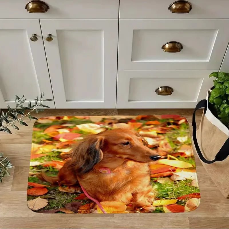 Dachshund Welcome Mat – Non-Slip Indoor Rug for Entryway, Kitchen & Living Room