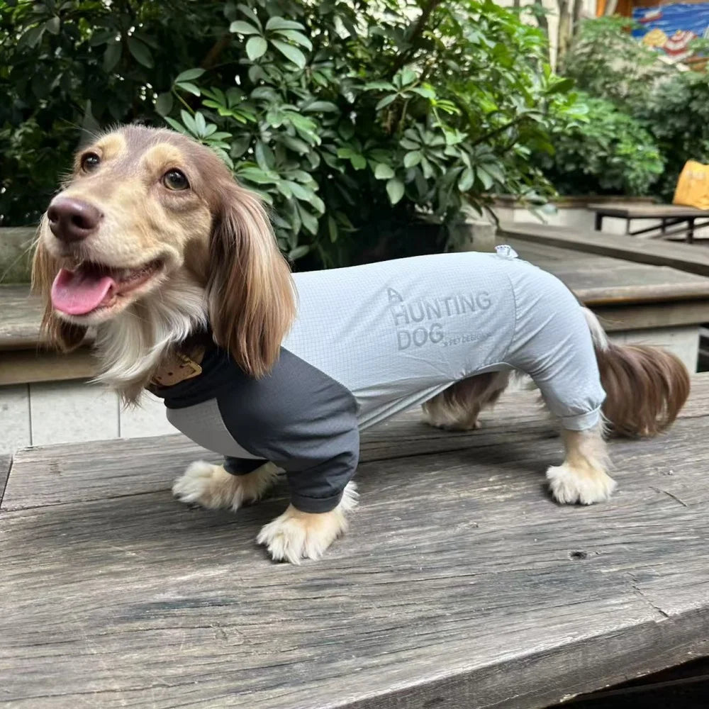 Dachshund CoolSuit™ – Full-Body Cooling Outfit for Hot Summer Days