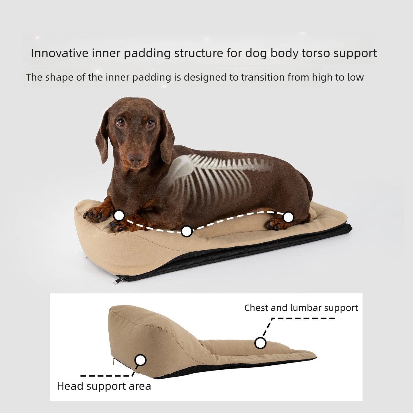 DoxieRider™ Pro | Ergonomic Backpack Carrier Made for Dachshunds