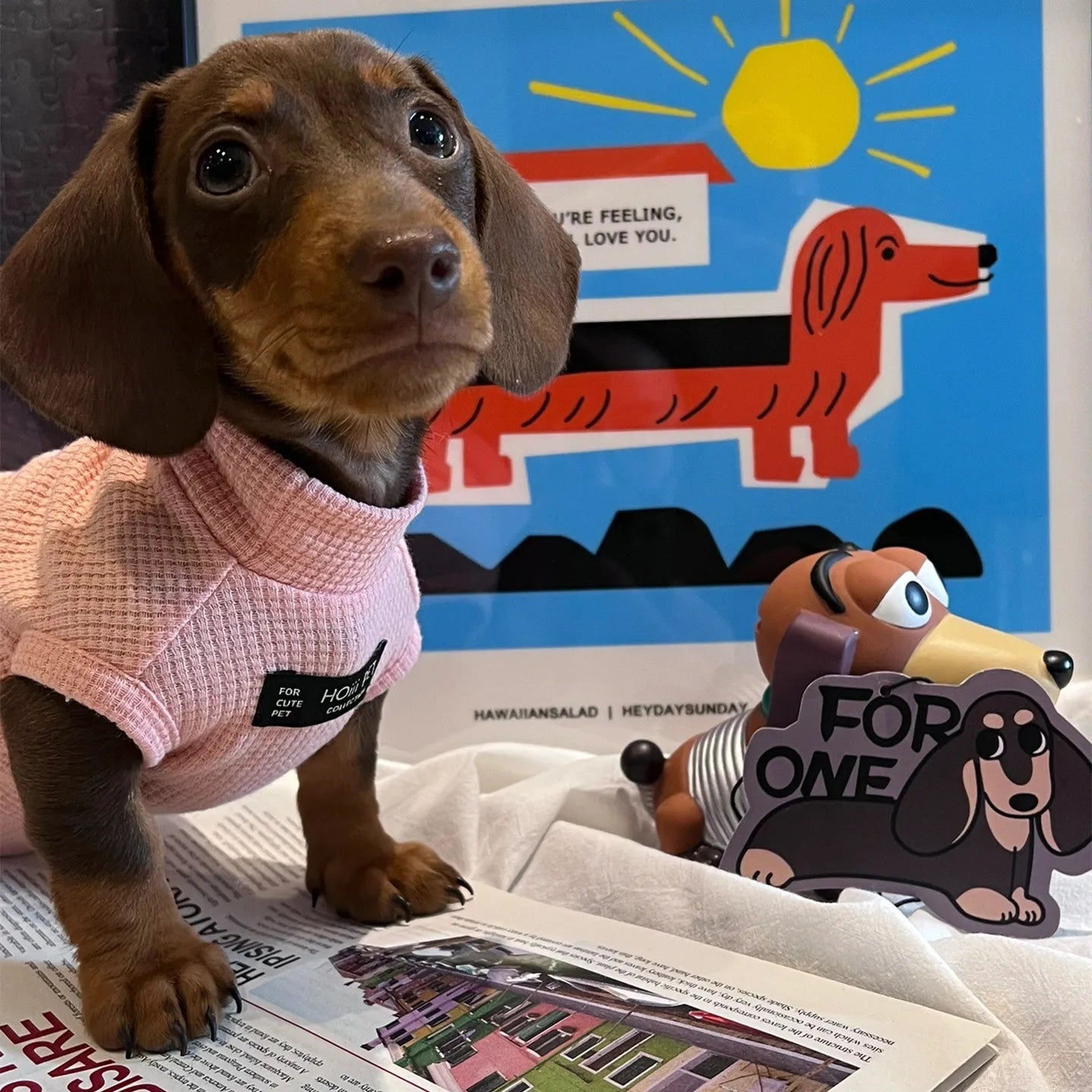 Dachshund Waffle Summer Vest™ | Lightweight & Breathable Pink Outfit for Sausage Dogs
