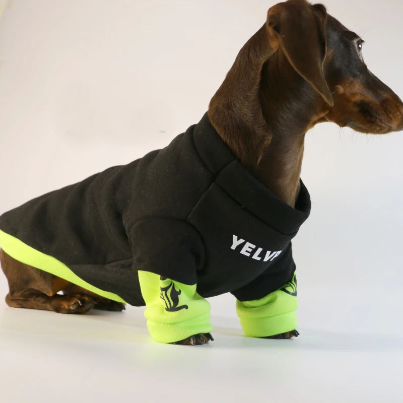 Warm Fleece Dog Jacket for Dachshunds & Small Dogs – Soft Cozy Winter & Autumn Pet Coat for French Bulldog, Pug & Puppies