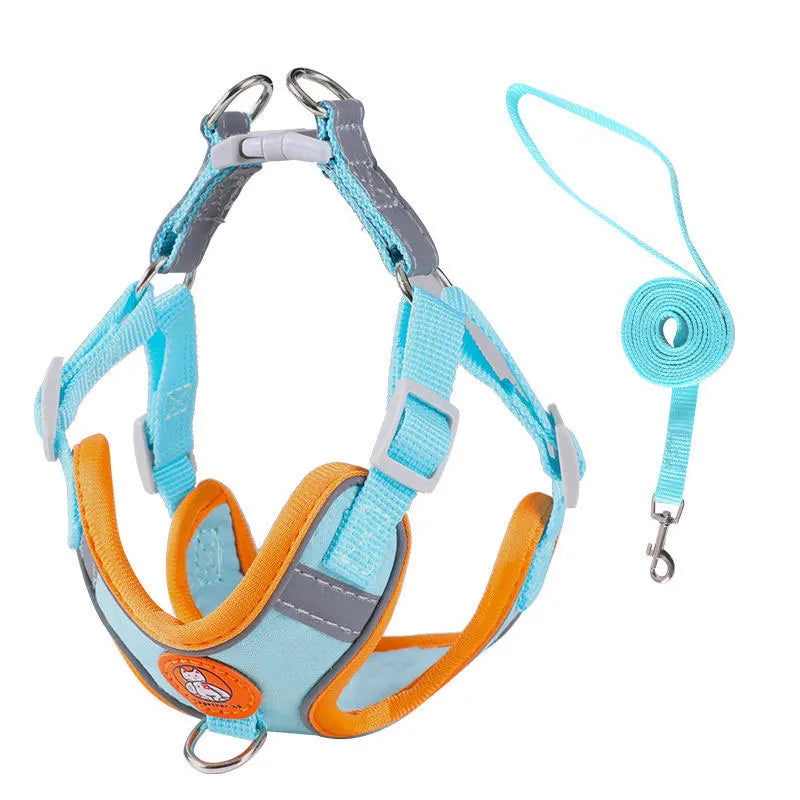 Dachshund Comfort Walk Set™ | No-Pull Harness & Leash for Effortless Adventures