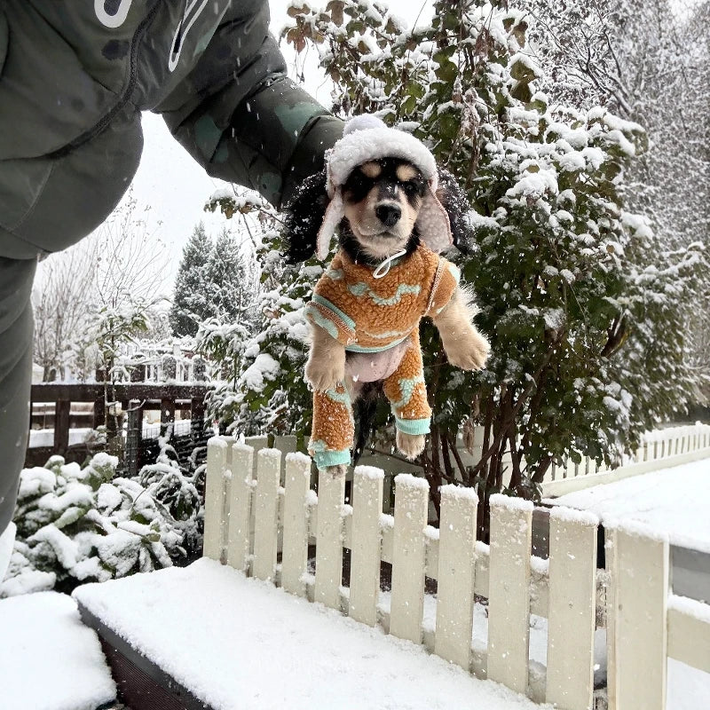 Dachshund ArcticShield™ Coat – Luxury Fleece Winter Jacket with Hood
