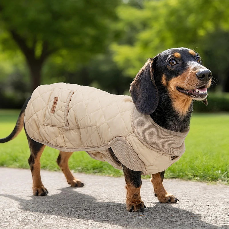 Dachshund WinterShield™ Coat – Waterproof & Windproof Jacket for Cold Weather Walks