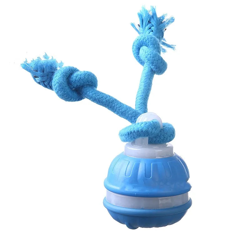 SmartRoll™ for Dachshunds – USB Rechargeable Interactive Rolling Ball for Endless Play