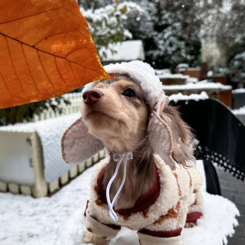 Dachshund ArcticShield™ Coat – Luxury Fleece Winter Jacket with Hood