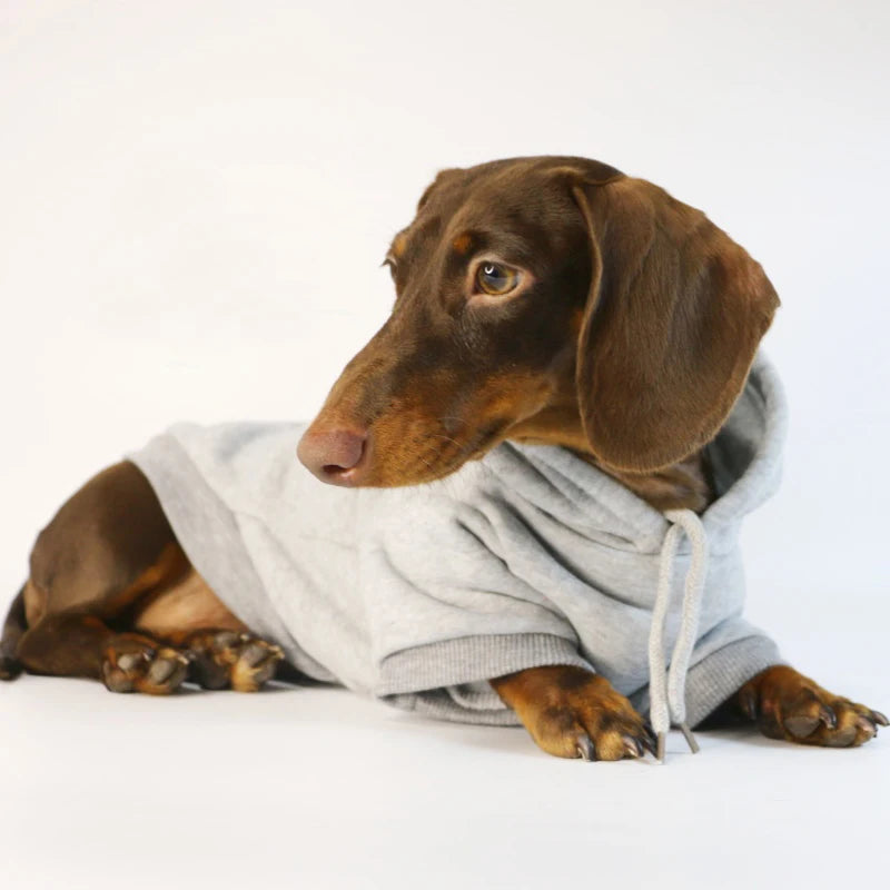 Cute Dachshund Sausage Hoodie – Warm Cotton Pullover Dog Clothes for Small Dogs, French Bulldog & Puppies Winter Outfit