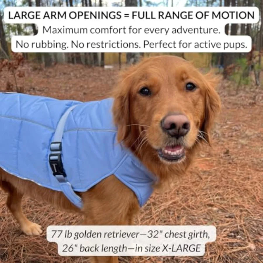 Dachshund Winter Shield™ – Waterproof Puffer Jacket for Cold Weather Walks