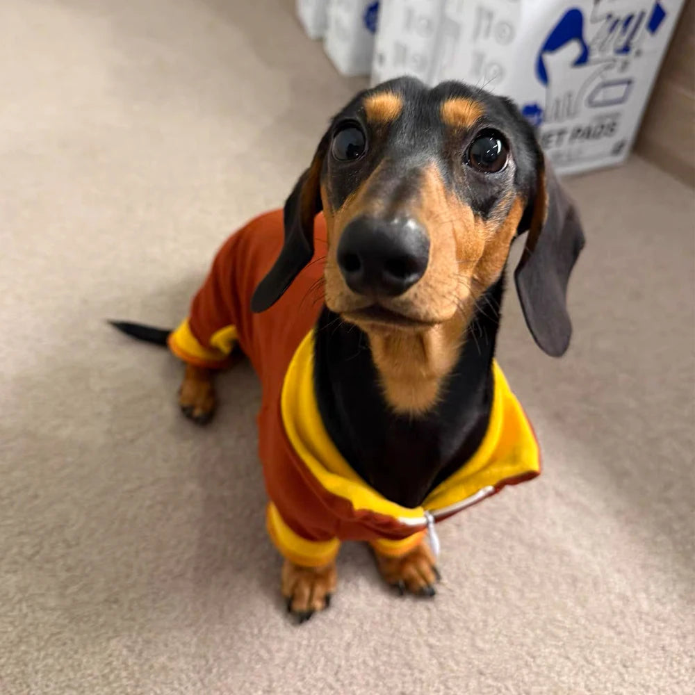 Dachshund Cozy Pajamas™ | Warm & Stretchy Winter Onesie for Sausage Dogs