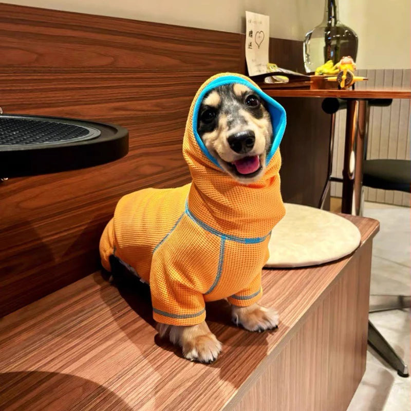 Dachshund ComfortFlex™ Waffle Jumpsuit – Premium 4-Leg Everyday Sweater