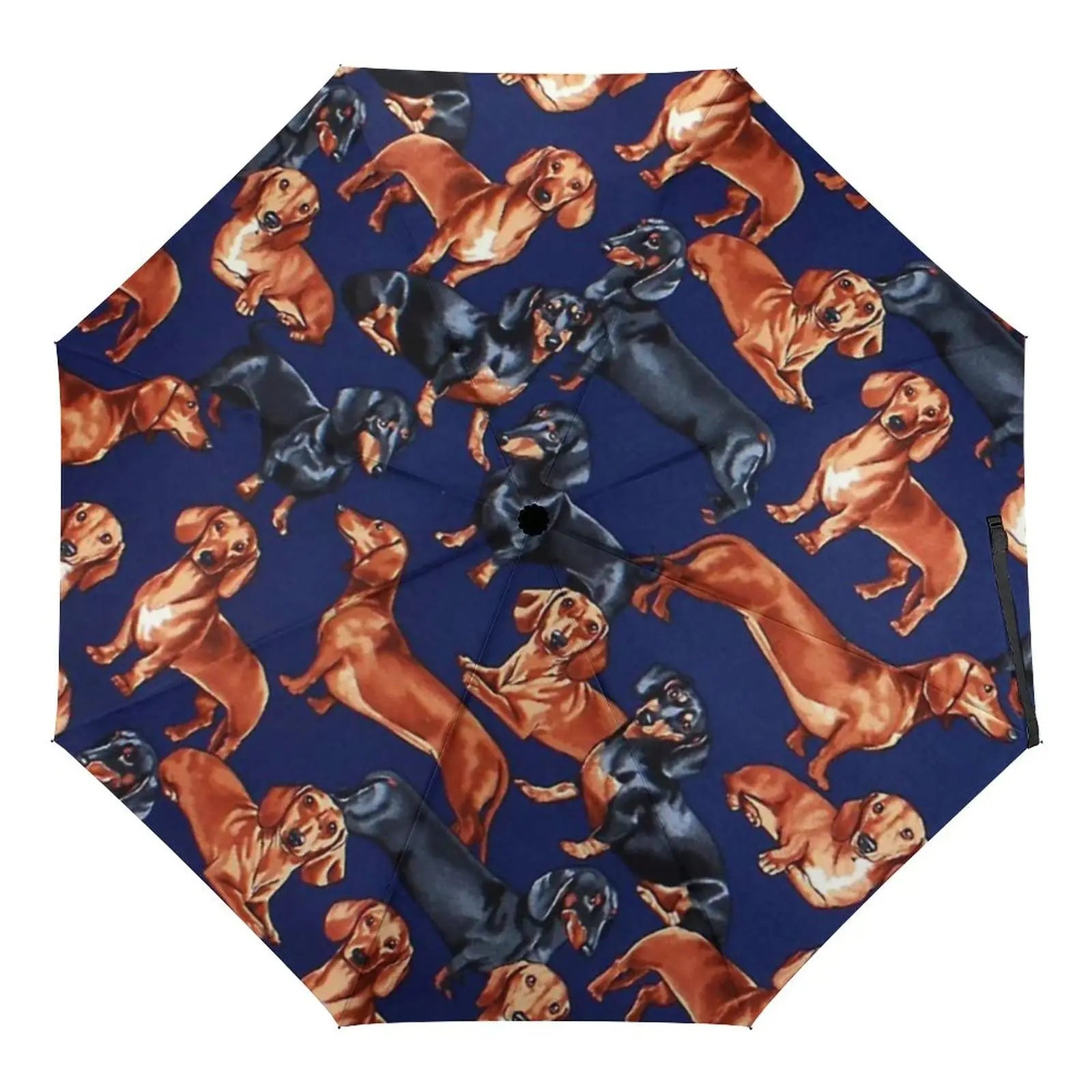 Dachshund Folding Umbrella – Lightweight Windproof Travel Umbrella for Dachshund Lovers
