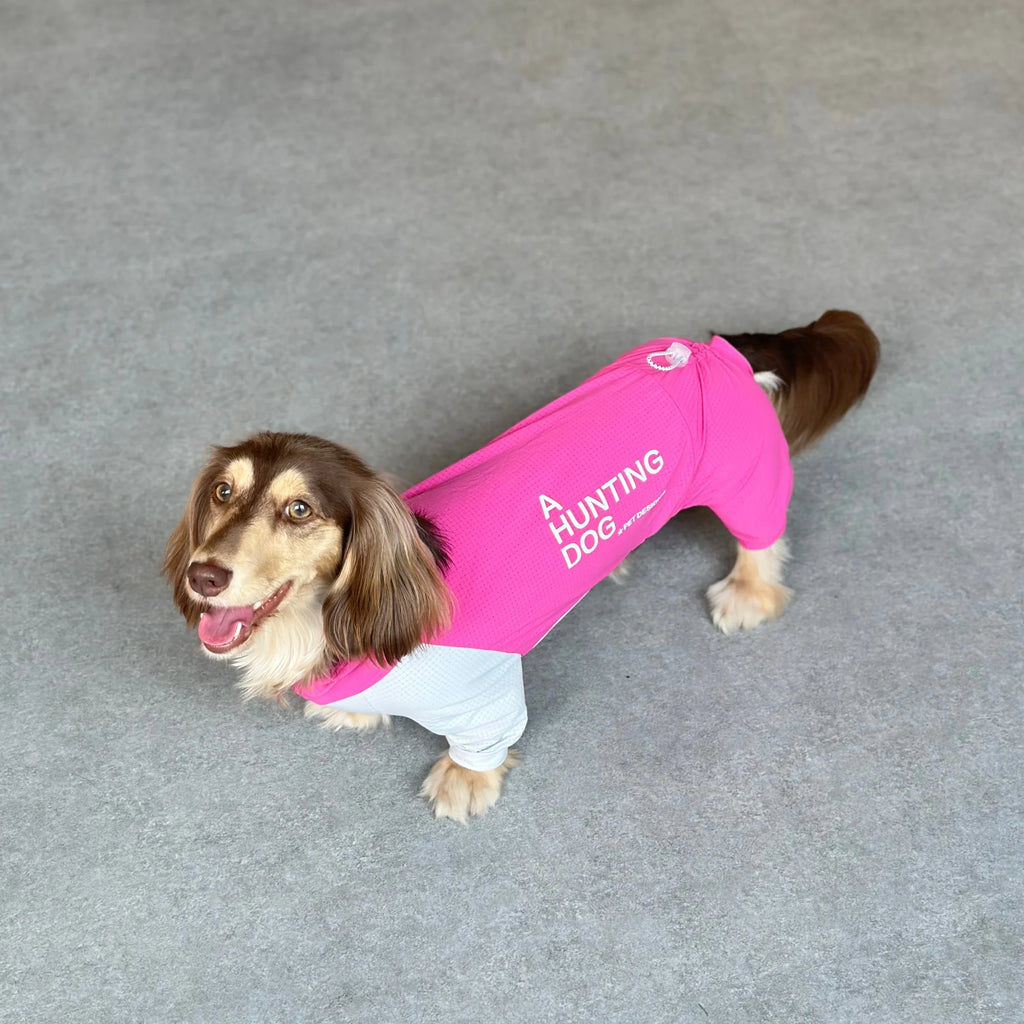 Dachshund CoolSuit™ – Full-Body Cooling Outfit for Hot Summer Days