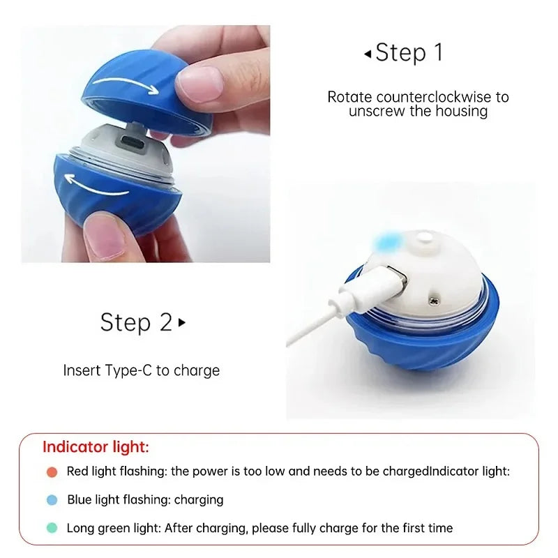 Doxie Zoom Ball™ | Automatic Moving Ball for Curious Dachshunds