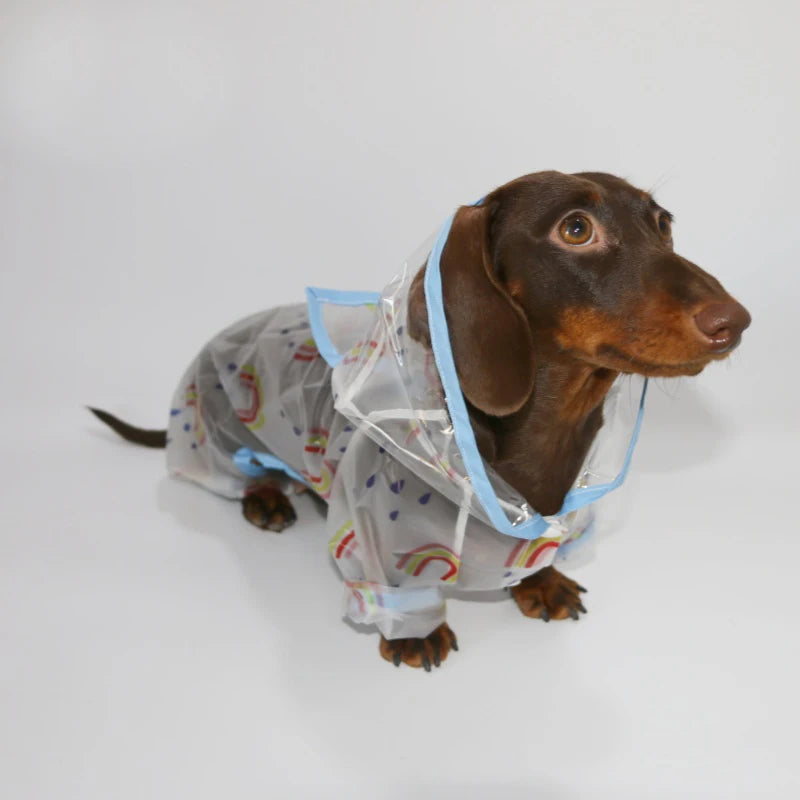 Dachshund Yellow Raincoat™ | Waterproof Hooded Jacket for Sausage Dogs