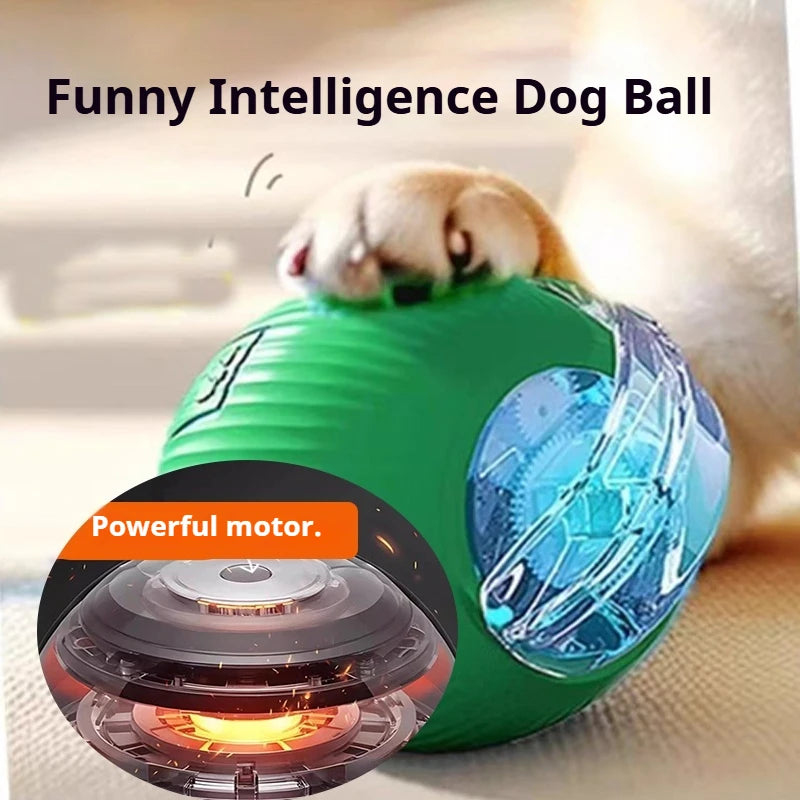 Dachshund Smart Motion Ball™ | Rechargeable Interactive Rolling Toy for Endless Fun & Exercise