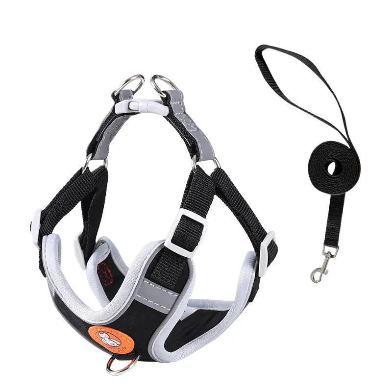 Dachshund Comfort Walk Set™ | No-Pull Harness & Leash for Effortless Adventures