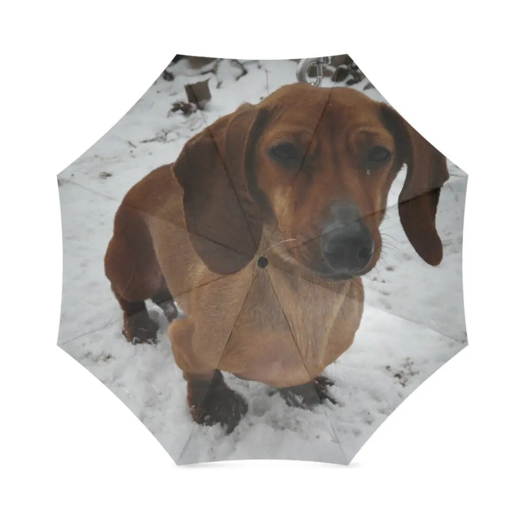 Dachshund Folding Umbrella – Lightweight Windproof Travel Umbrella for Dachshund Lovers