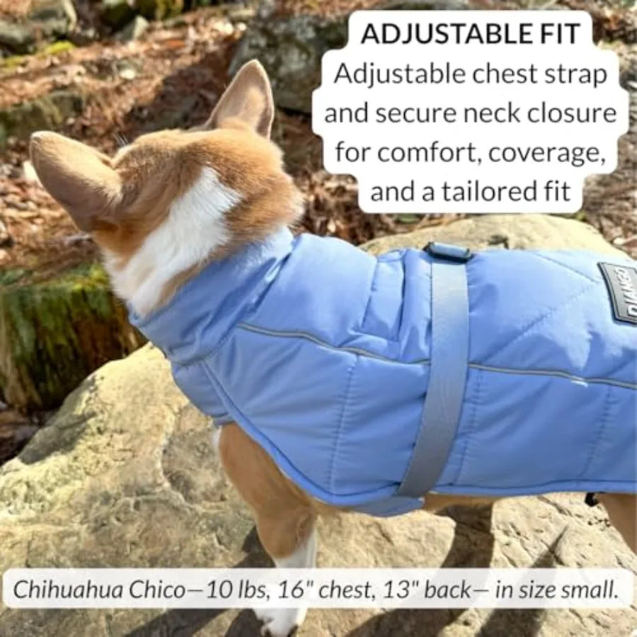 Dachshund Winter Shield™ – Waterproof Puffer Jacket for Cold Weather Walks