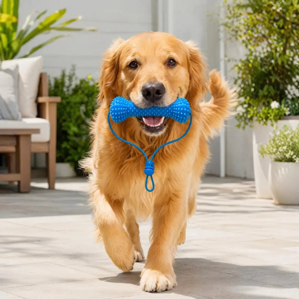 Dachshund Dental Care Chew Toy – Interactive Rubber Tooth Cleaning Aid for Dogs | Fresh Breath & Daily Oral Hygiene Tool for Small & Medium Dogs