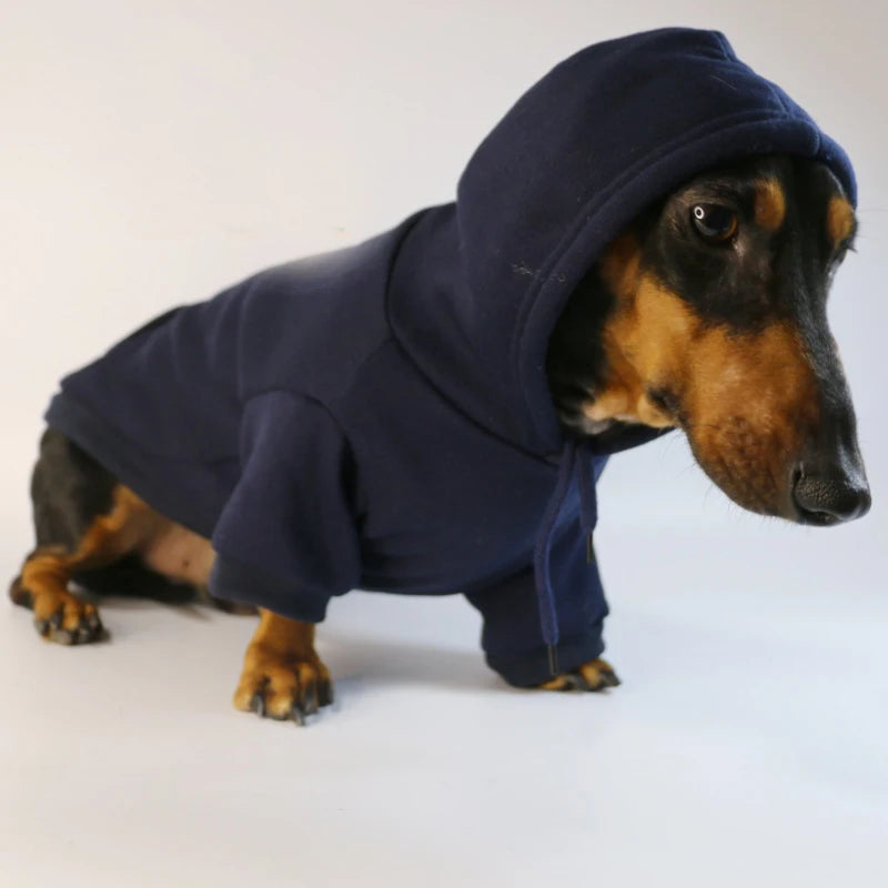 Cute Dachshund Sausage Hoodie – Warm Cotton Pullover Dog Clothes for Small Dogs, French Bulldog & Puppies Winter Outfit