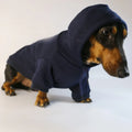 Cute Dachshund Sausage Hoodie – Warm Cotton Pullover Dog Clothes for Small Dogs, French Bulldog & Puppies Winter Outfit