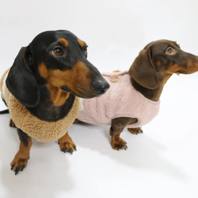Dachshund Fleece Dog Hoodie – Warm Winter Sweatshirt