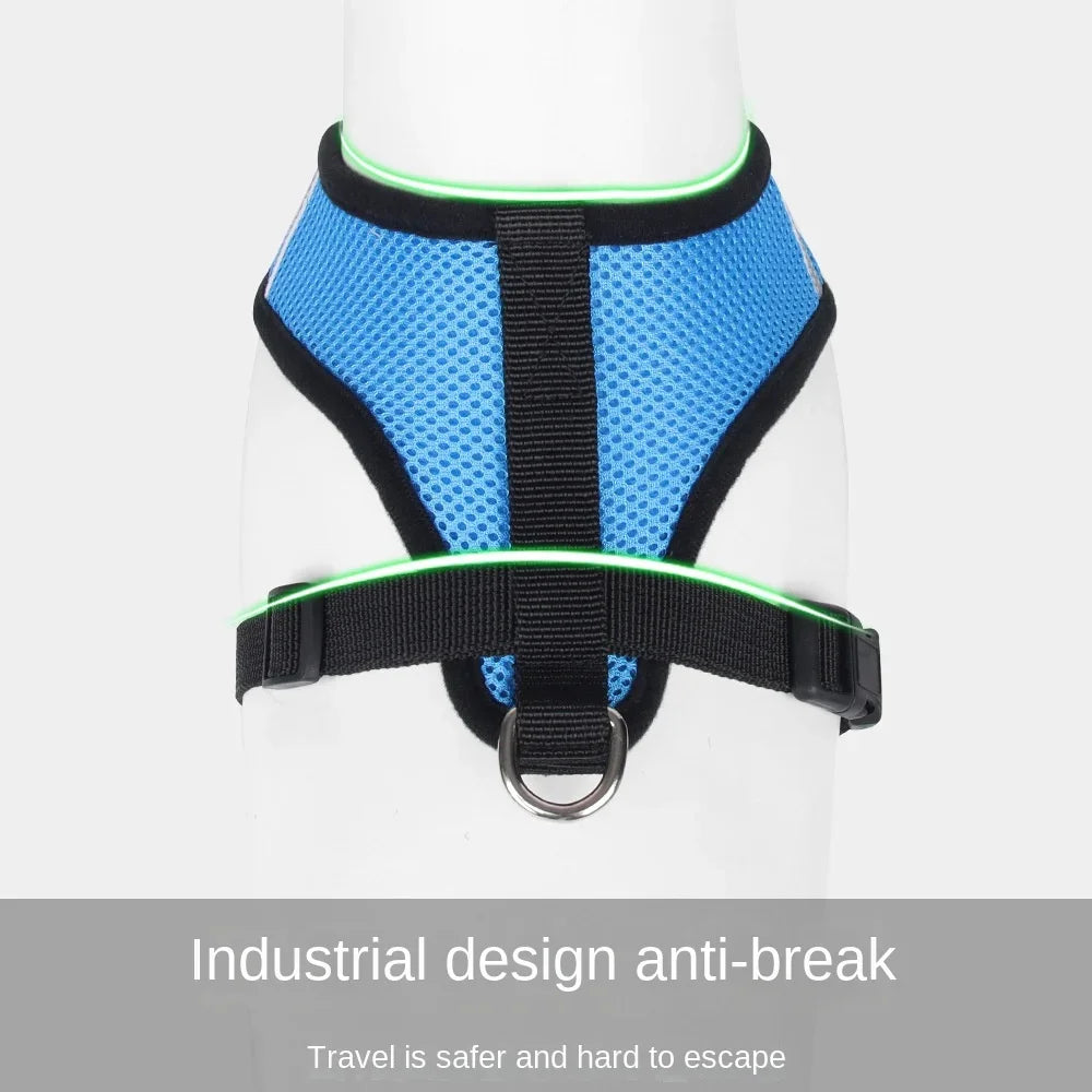 Dachshund AirMesh Harness™ | Lightweight Breathable Comfort for Every Walk