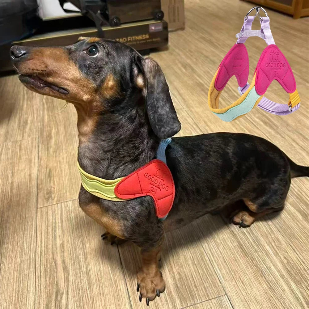 Dachshund No-Pull Vest Harness™ | Padded Comfort & Effortless Control