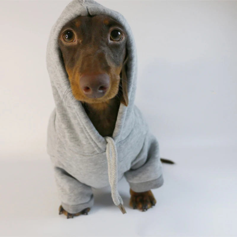 Cute Dachshund Sausage Hoodie – Warm Cotton Pullover Dog Clothes for Small Dogs, French Bulldog & Puppies Winter Outfit