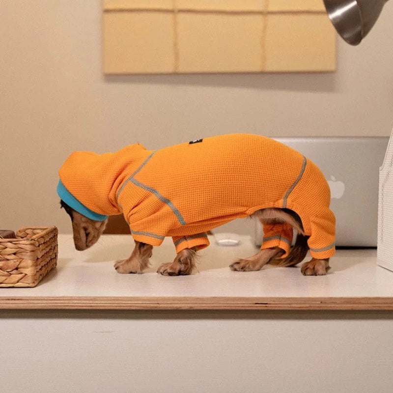 Dachshund ComfortFlex™ Waffle Jumpsuit – Premium 4-Leg Everyday Sweater