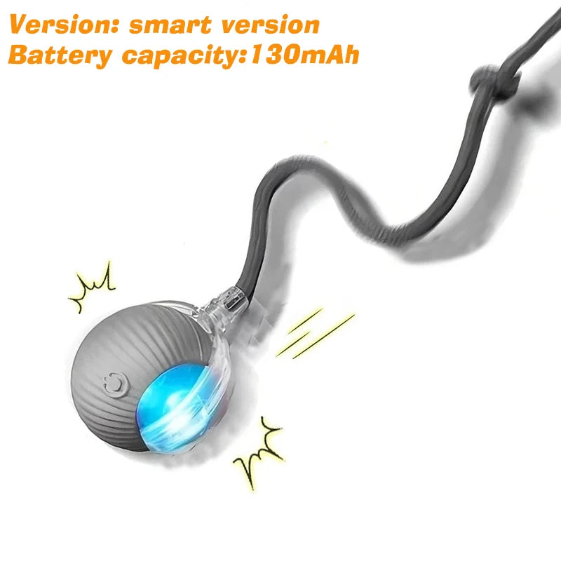 Dachshund Smart Motion Ball™ | Rechargeable Interactive Rolling Toy for Endless Fun & Exercise