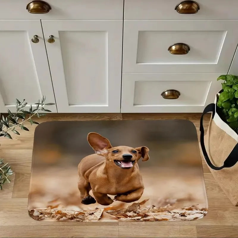 Dachshund Welcome Mat – Non-Slip Indoor Rug for Entryway, Kitchen & Living Room