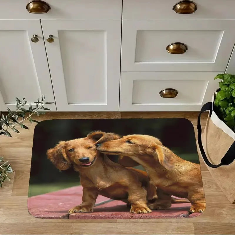 Dachshund Welcome Mat – Non-Slip Indoor Rug for Entryway, Kitchen & Living Room