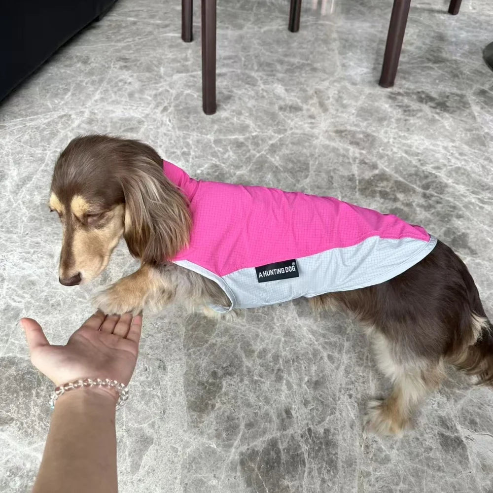 Dachshund CoolGuard™ Vest – Cooling & Sun Protection Jacket for Summer Walks