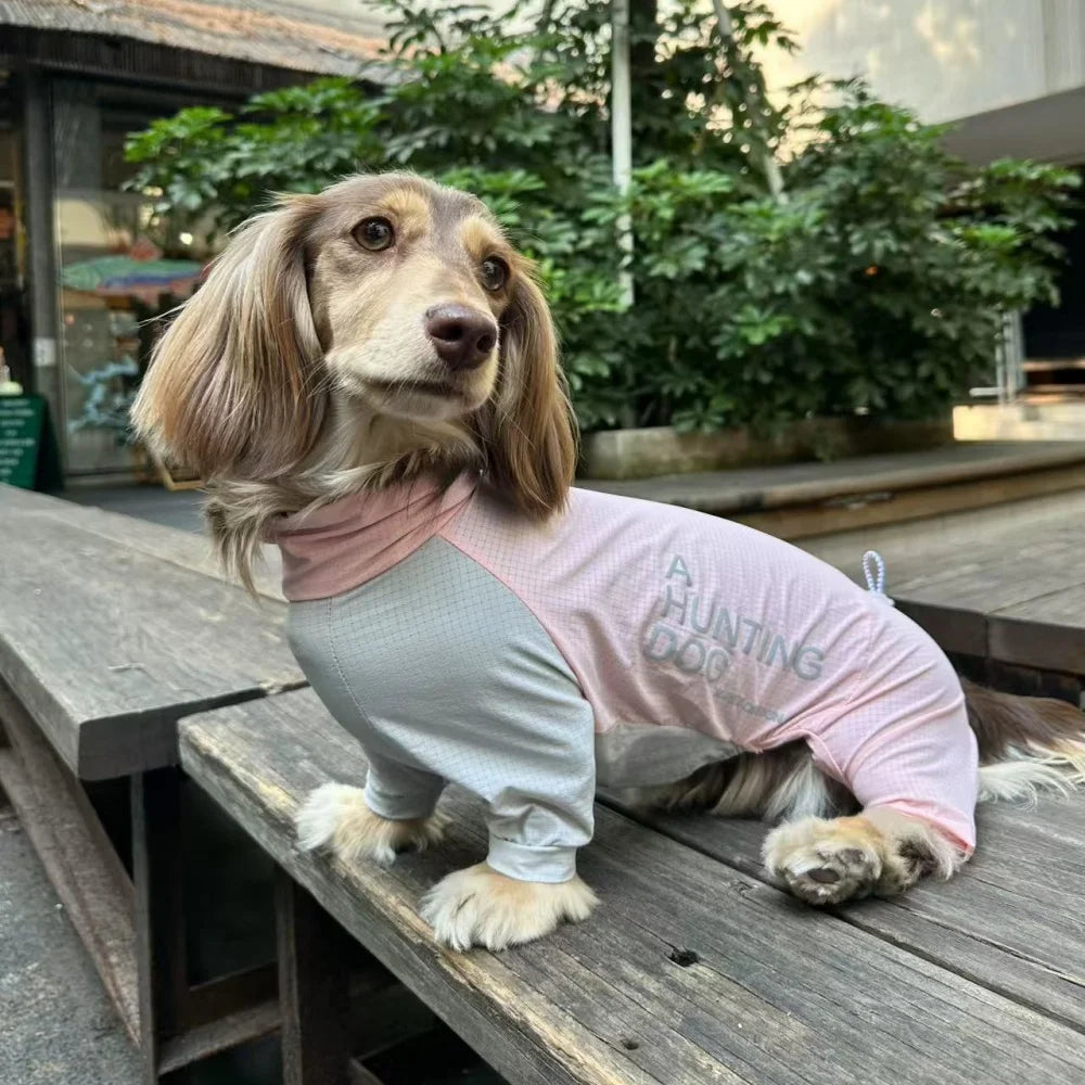 Dachshund CoolSuit™ – Full-Body Cooling Outfit for Hot Summer Days