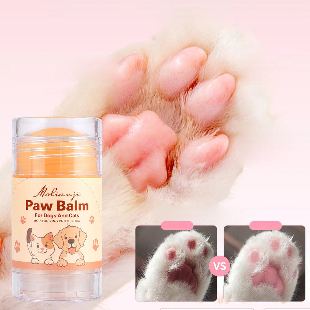 Dachshund Paw & Nose Balm™ – Deep Moisturizing Protection for Soft Paws and Healthy Noses