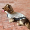 Dachshund CoolGuard™ Vest – Cooling & Sun Protection Jacket for Summer Walks