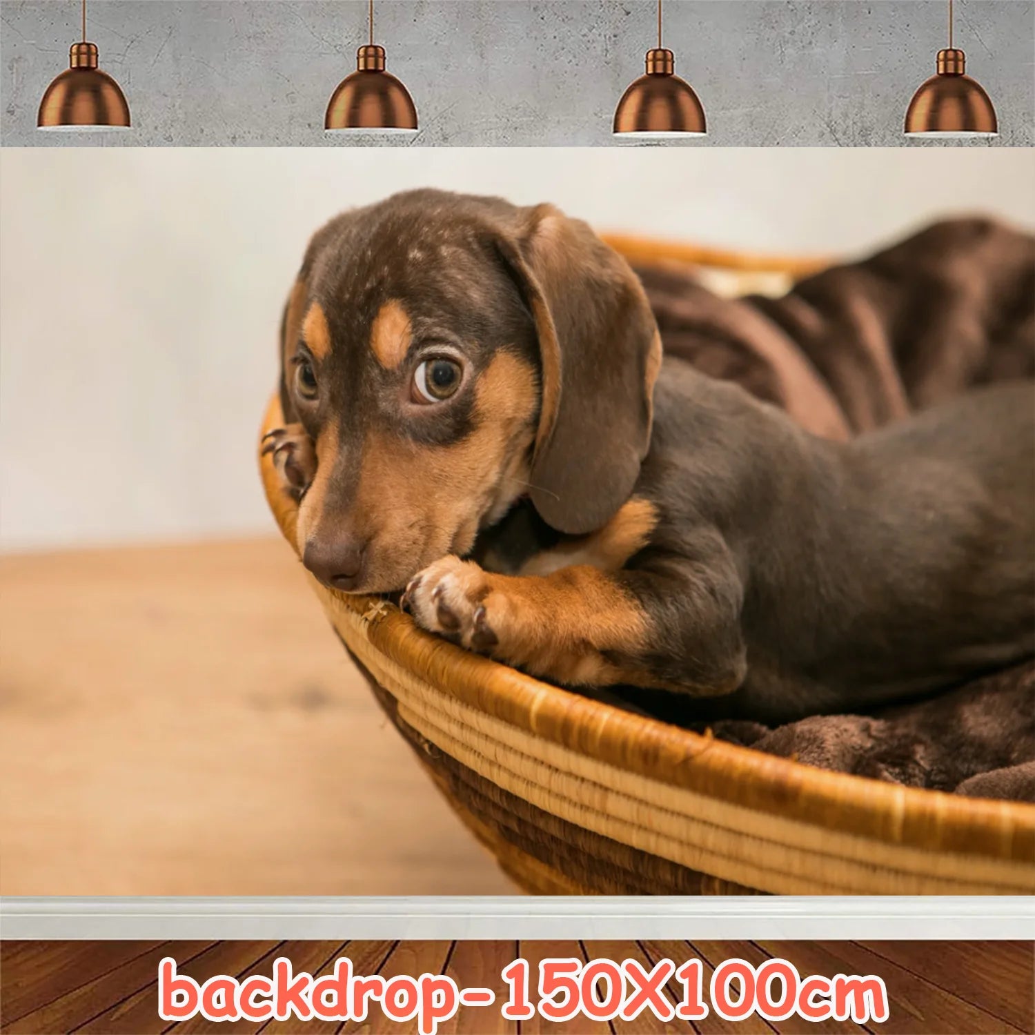 Ultimate Dachshund Birthday Party Kit – Balloons, Cake Toppers & Decorations for Sausage Dog Lovers