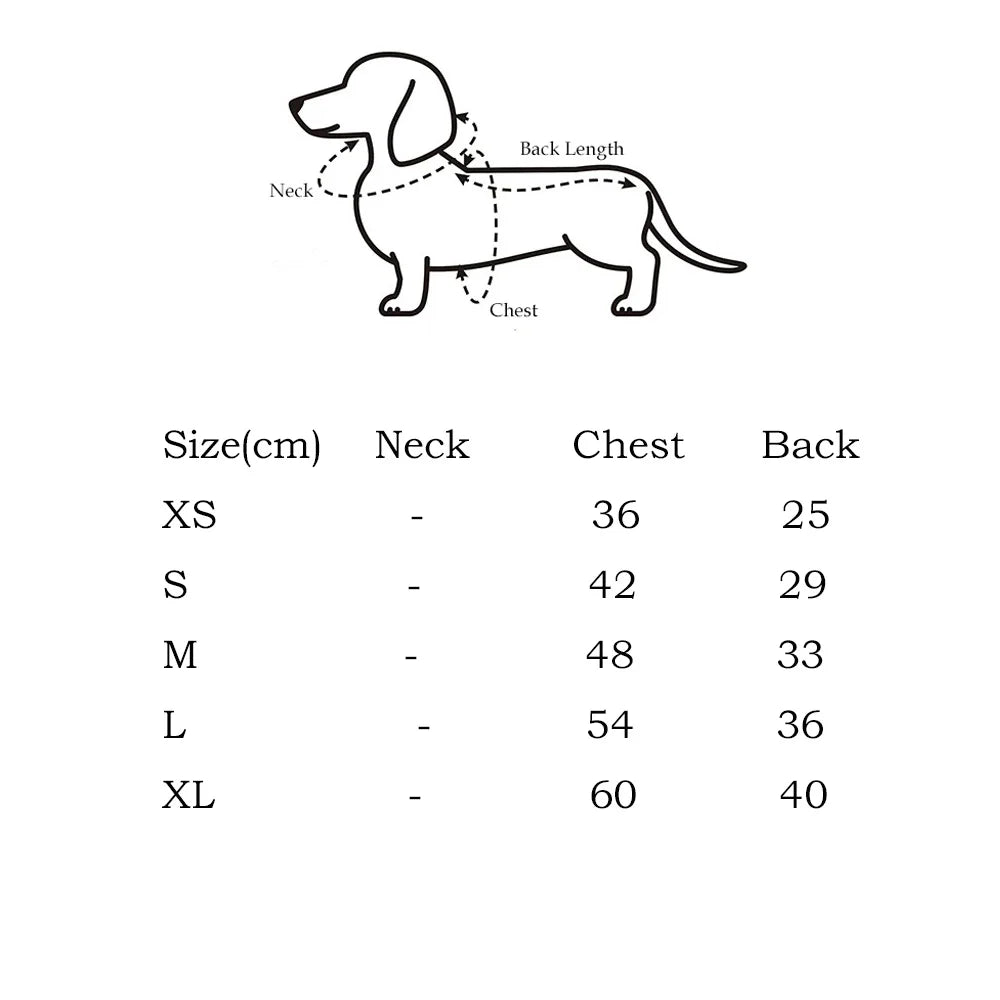 Premium Striped Dachshund Sweater – Warm Cotton Pullover for Sausage Dogs