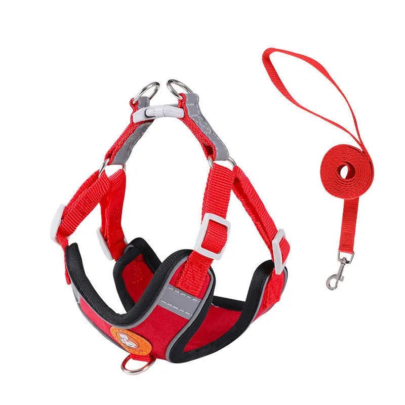 Dachshund Comfort Walk Set™ | No-Pull Harness & Leash for Effortless Adventures
