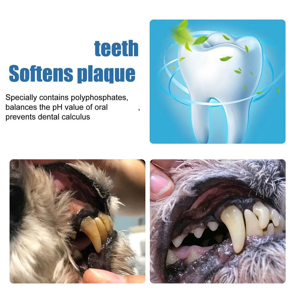 Dachshund Dental Spray™ | Tartar & Bad Breath Defense Without Brushing