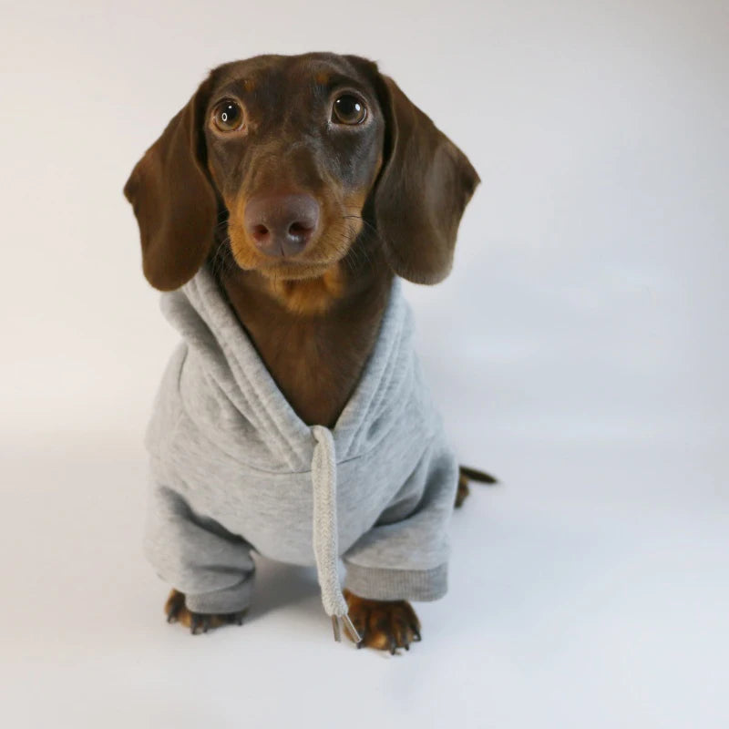 Cute Dachshund Sausage Hoodie – Warm Cotton Pullover Dog Clothes for Small Dogs, French Bulldog & Puppies Winter Outfit